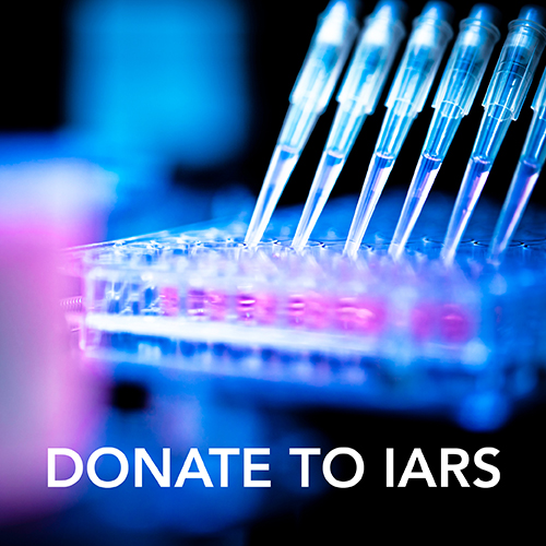 Donate to IARS Image