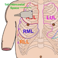 OA Image