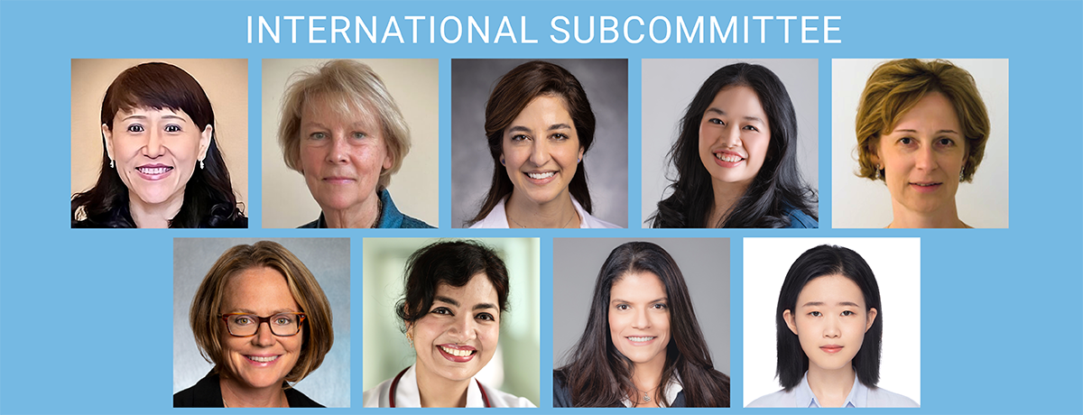 WIA25 International Subcommittee_1200 x 460 WIM International Subcommittee Image